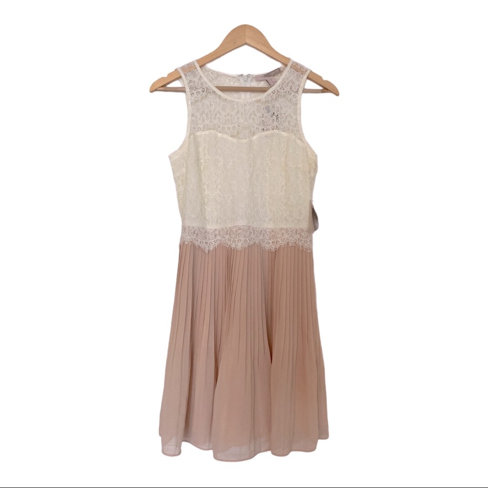 NWT. Forever 21 Contemporary Ivory and pink dress